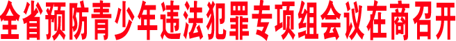 全省預(yù)防青少年違法犯罪專項組會議在商召開