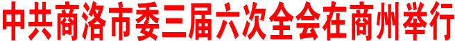 中共商洛市委三屆六次全會(huì)在商州舉行