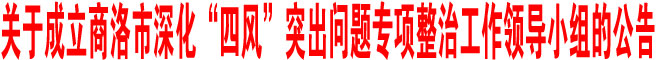 關(guān)于成立商洛市深化“四風(fēng)”突出問題專項(xiàng)整治工作領(lǐng)導(dǎo)小組的公告