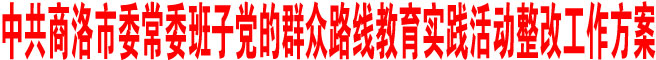 中共商洛市委常委班子黨的群眾路線教育實踐活動整改工作方案