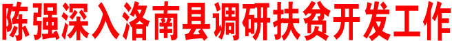 陳強在洛南縣調(diào)研扶貧開發(fā)工作時強調(diào)：搶抓機遇 加快發(fā)展 持之以恒抓好扶貧開發(fā)工作