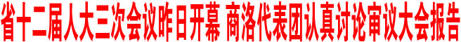 商洛代表團(tuán)認(rèn)真討論審議大會報告