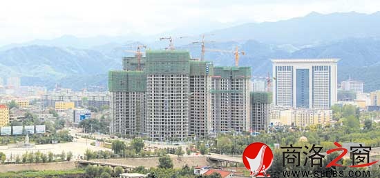 市區(qū)西片長高增綠