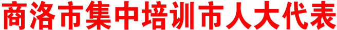 商洛市集中培訓(xùn)市人大代表