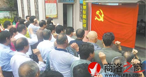 商洛日報(bào)黨總支組織黨員重溫入黨誓詞