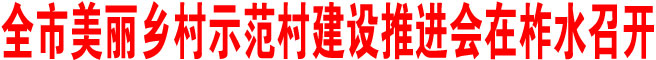 全市美麗鄉(xiāng)村示范村建設(shè)推進(jìn)會(huì)在柞水召開