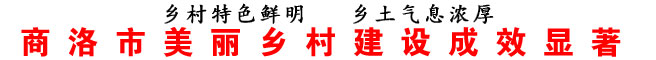 商洛市美麗鄉(xiāng)村建設成效顯著