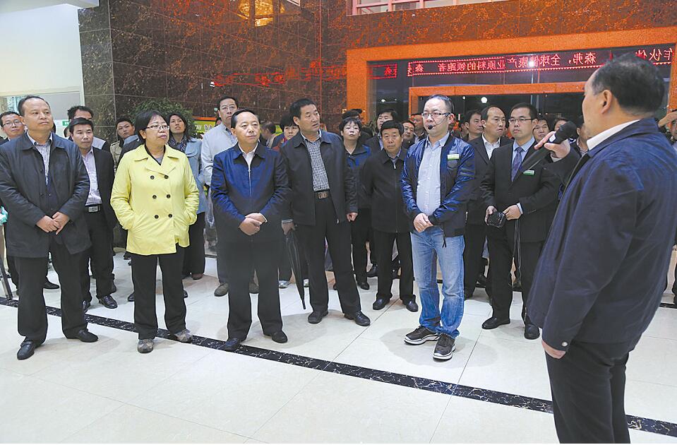 全市重大項目建設現(xiàn)場觀摩會在洛南商州觀摩