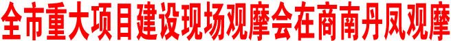 全市重大項目建設現(xiàn)場觀摩會在商南丹鳳觀摩