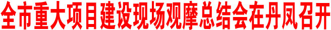 全市重大項目建設現(xiàn)場觀摩總結會在丹鳳召開