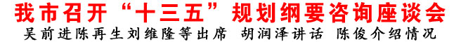 商洛市召開“十三五”規(guī)劃綱要咨詢座談會(huì)