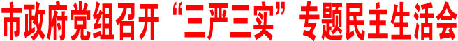 商洛市政府黨組召開“三嚴(yán)三實(shí)”專題民主生活會