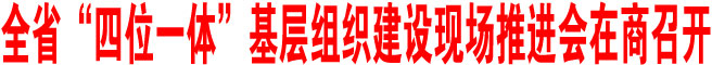 全省“四位一體”基層組織建設(shè)現(xiàn)場(chǎng)推進(jìn)會(huì)在商召開