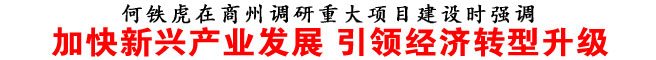 加快新興產(chǎn)業(yè)發(fā)展 引領(lǐng)經(jīng)濟(jì)轉(zhuǎn)型升級