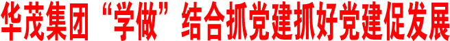 華茂集團(tuán)“學(xué)做”結(jié)合抓黨建抓好黨建促發(fā)展