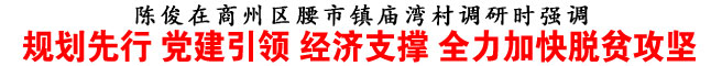 規(guī)劃先行 黨建引領(lǐng) 經(jīng)濟(jì)支撐 全力加快脫貧攻堅(jiān)