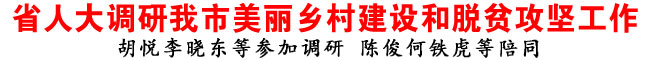 省人大調(diào)研我市美麗鄉(xiāng)村建設(shè)和脫貧攻堅工作
