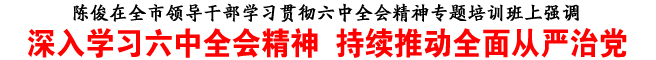 深入學(xué)習(xí)六中全會(huì)精神 持續(xù)推動(dòng)全面從嚴(yán)治黨
