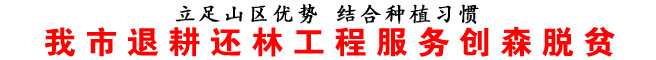 我市退耕還林工程服務創(chuàng)森脫貧