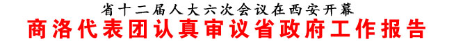 商洛代表團(tuán)認(rèn)真審議省政府工作報(bào)告