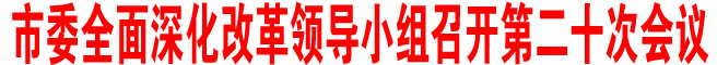 商洛市委全面深化改革領導小組召開第二十次會議