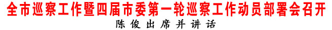 全市巡察工作暨四屆市委第一輪巡察工作動員部署會召開