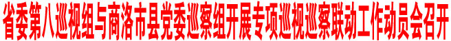 省委第八巡視組與商洛市縣黨委巡察組開展專項(xiàng)巡視巡察聯(lián)動工作動員會召開