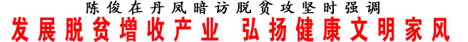 發(fā)展脫貧增收產(chǎn)業(yè) 弘揚(yáng)健康文明家風(fēng)