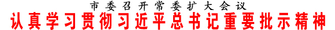 認(rèn)真學(xué)習(xí)貫徹習(xí)近平總書記重要批示精神