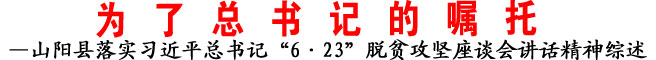 —山陽(yáng)縣落實(shí)習(xí)近平總書(shū)記“6·23”脫貧攻堅(jiān)座談會(huì)講話精神綜述