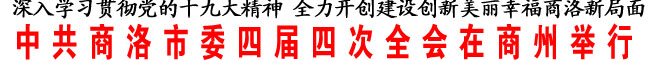 中共商洛市委四屆四次全會(huì)在商州舉行