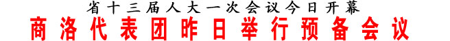 商洛代表團(tuán)昨日舉行預(yù)備會(huì)議