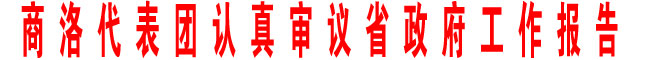 商洛代表團(tuán)認(rèn)真審議省政府工作報(bào)告