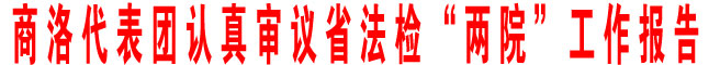 商洛代表團認真審議省法檢“兩院”工作報告