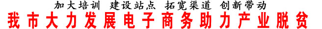 我市大力發(fā)展電子商務(wù)助力產(chǎn)業(yè)脫貧