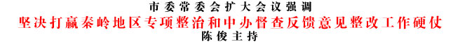 堅(jiān)決打贏秦嶺地區(qū)專(zhuān)項(xiàng)整治和中辦督查反饋意見(jiàn)整改工作硬仗
