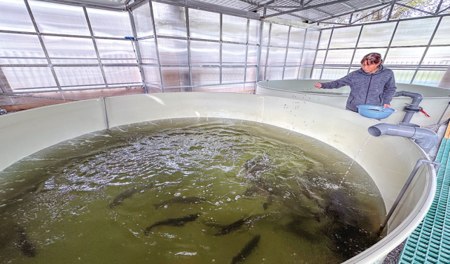 七星村的美麗蝶變