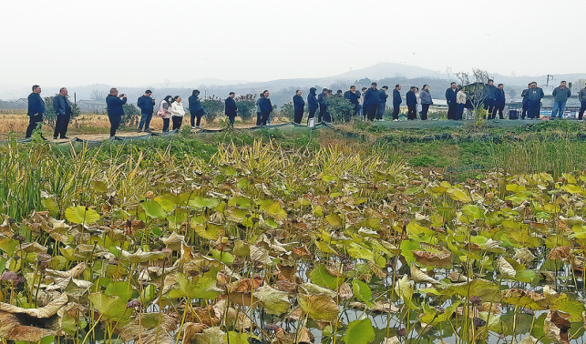農(nóng)技賦能 鄉(xiāng)村振興