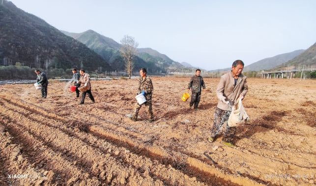 政策惠農聚力 糧田煥發(fā)新機