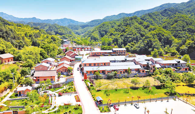 聚力奮進謀新篇