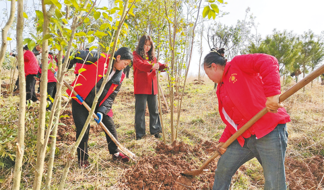 植綠護(hù)綠美家園 生態(tài)產(chǎn)業(yè)雙提升