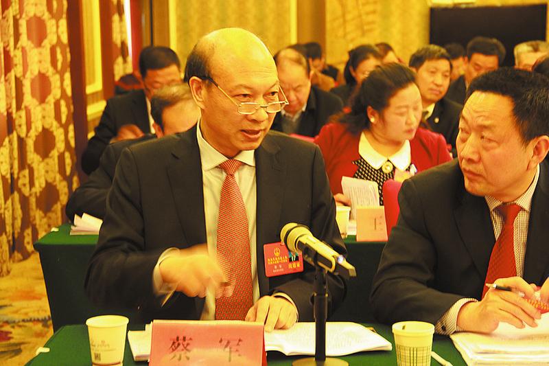 鎮(zhèn)安代表團企業(yè)代表建議推進重大項目建設