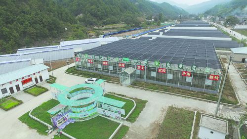 現(xiàn)代農業(yè)，正從園區(qū)走來