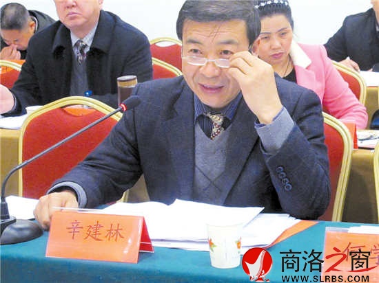 市人大代表辛建林參加丹鳳代表團(tuán)審議《政府工作報(bào)告》時(shí)建議，把城市規(guī)劃放在更加重要的位置，做好棚戶區(qū)改造工作，加強(qiáng)對(duì)群眾建房的規(guī)劃和管理。      （見習(xí)記者 董 楠 攝）