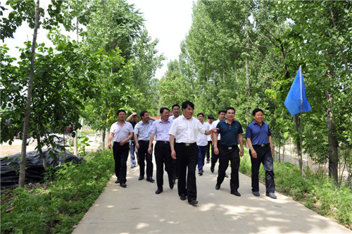 洛南縣重大項(xiàng)目觀摩