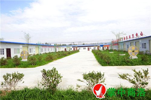 合作社帶動農(nóng)民增收