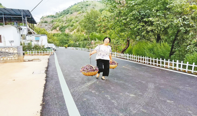 一條柏油路，串起果農(nóng)新生活