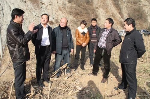 鎮(zhèn)安縣委副書記馬建琦深入回龍鎮(zhèn)檢查工作