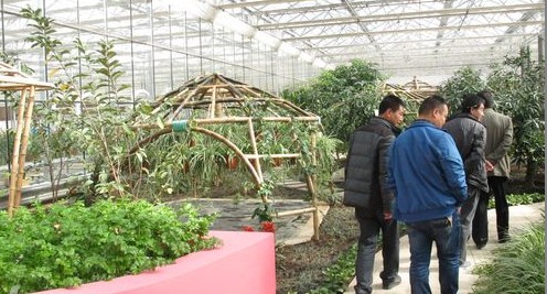 商州大荊農(nóng)業(yè)觀光園建成開放