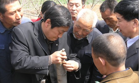 打造商洛核桃新時代